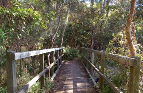 Awaba Bay Foreshore Walk - Tourism Search 0