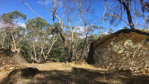 Bailey's Rocks - Dergholm State Park - Tourism Search 0