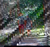 Banksia Track Burrum Coast National Park - Tourism Search