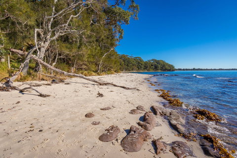 Barfleur Beach - Tourism Search 0