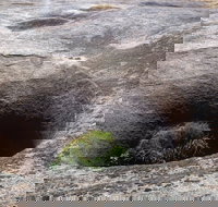 Blowhole and the Rocks - Tourism Search