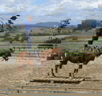 Boggy Creek Show - Tourism Search