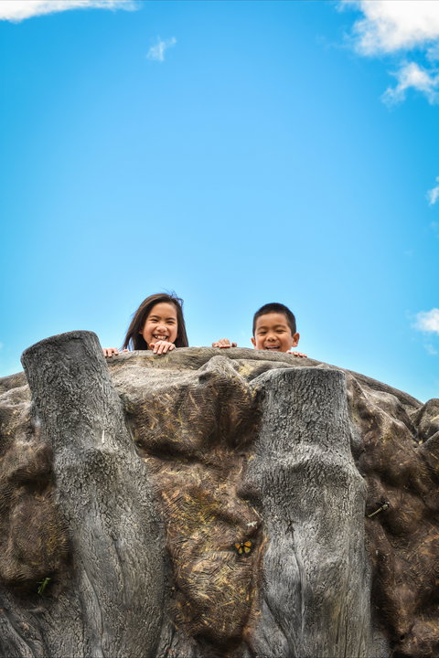 Brimbank Park - Tourism Search 1