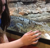 Canberra Reptile Zoo - Tourism Search