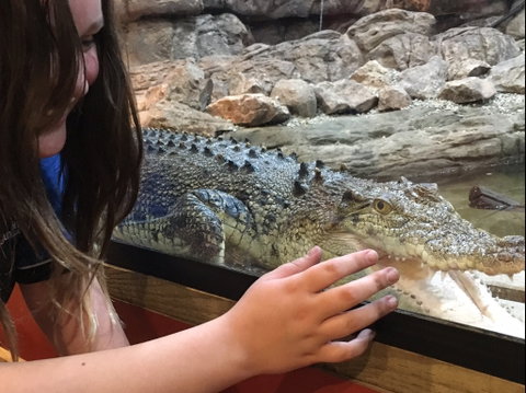 Canberra Reptile Zoo - Tourism Search 0