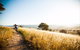 Canberra Centenary Trail - thumb 0