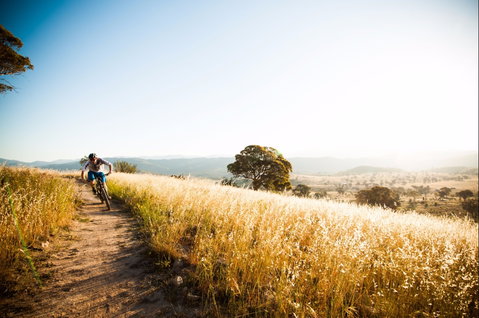 Canberra Centenary Trail - Tourism Search 0