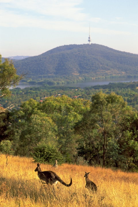 Canberra Centenary Trail - Tourism Search 1