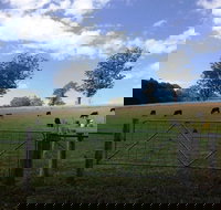 Coramba - Tourism Search