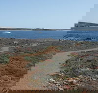 Elliston Coastal Trail - Tourism Search