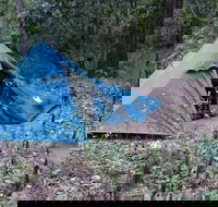 England Creek Bush Camp - Tourism Search