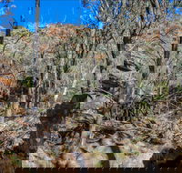 Eualdrie Walking Track - Tourism Search