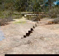 Finchley Cultural Walk - Tourism Search