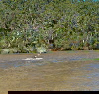 Fitzpatrick Park - Tourism Search