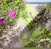 Fort Bribie - Tourism Search