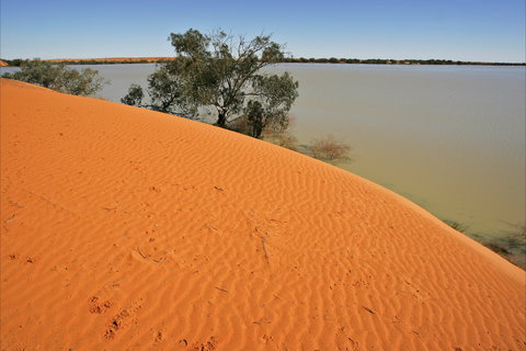 Innamincka Regional Reserve - Tourism Search 1