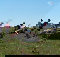 Jim Salmon  Wetland Education Site - Tourism Search