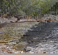 Lake Rowallan - Tourism Search