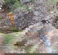 Mill-bullah Walking Track - Tourism Search