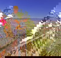 Moogerah Peaks National Park - Tourism Search