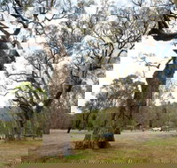 Moolarben Picnic Area - Tourism Search