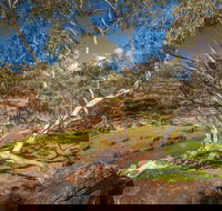 Mount Grenfell Historic Site - Tourism Search