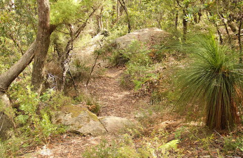 Mount Carnarvon Walking Track - Tourism Search 0