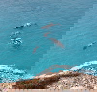 Nullarbor National Park - Tourism Search