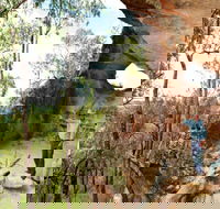 Pilliga Forest - Tourism Search