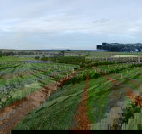 Razorback Cawdor Camden Park - Tourism Search