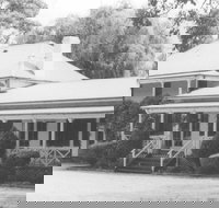 Razorback - Tourism Search