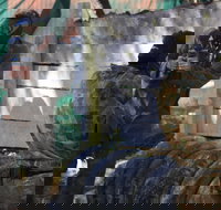 Skirmish Sunshine Coast Outdoor Paintball - Tourism Search