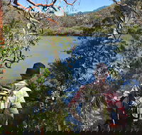 Sphinx Memorial to Bobbin Head Loop Track - Tourism Search