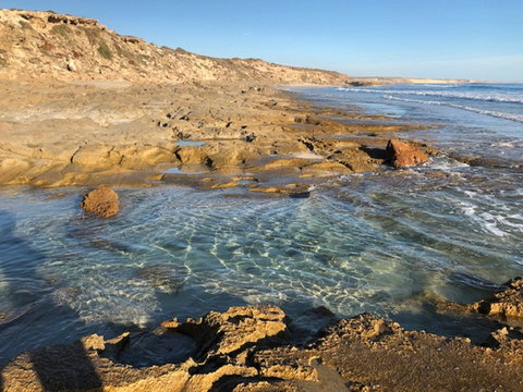 Streaky Bay - Back Beach - Tourism Search 0