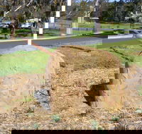 Stratford Historical Society and Museum - Tourism Search