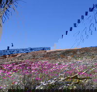 Talgomine Reserve - Tourism Search