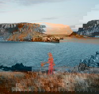 The Nut - Tourism Search