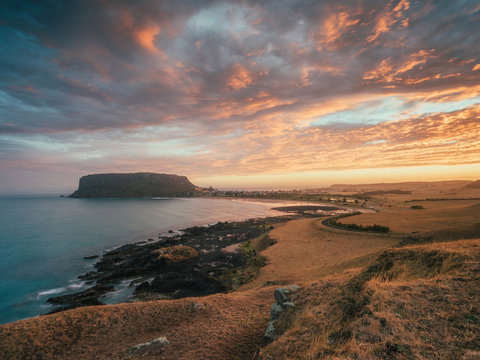 The Nut - Tourism Search 2