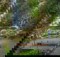 The Falls Walk Budderoo National Park - Tourism Search