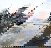 Tiddy Widdy Beach - Tourism Search