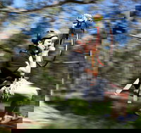 TreeTops Western Sydney - Tourism Search