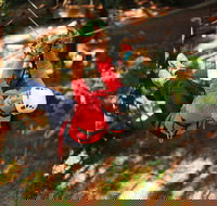 Trees Adventure - Glen Harrow Park - Tourism Search