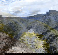 Vale of Avoca - Tourism Search
