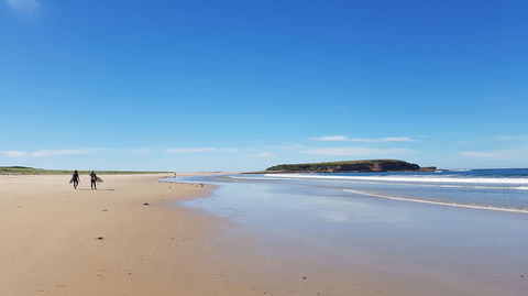 Warilla - Tourism Search 0