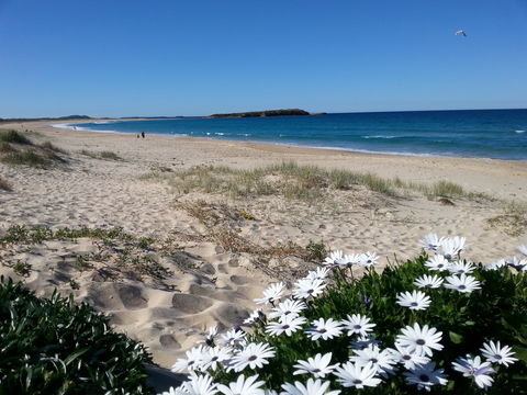 Warilla - Tourism Search 1