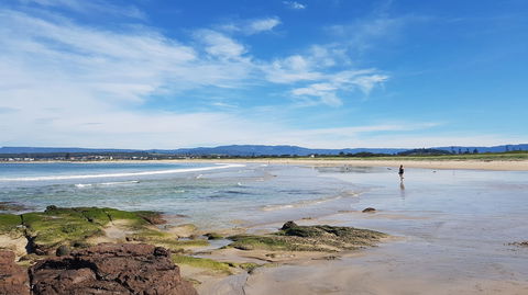 Warilla - Tourism Search 2