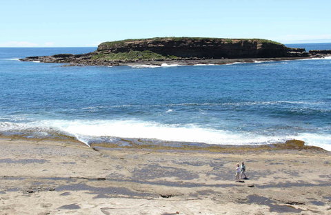 Wasp Head Picnic Area - Tourism Search 0