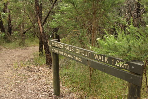 Waterfall Gully - Kings Falls Circuit Walk - Tourism Search 0