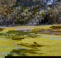 Wombeyan picnic area - Tourism Search