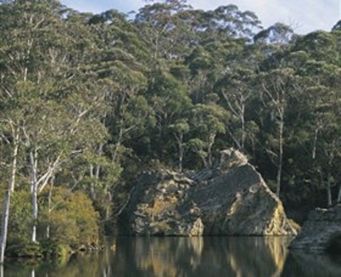 Woodford - Tourism Search 0